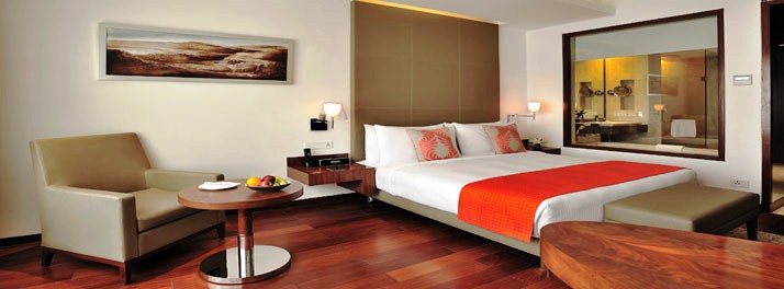 1036/Anya Hotel - Gurugram 10.jpg